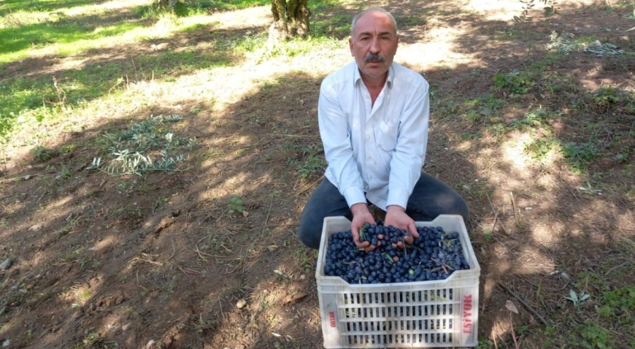 CHP’li Eşiyok’tan Marmarabirlik’e Sert Tepki: “Bir Avuç Üyeli Kooperatif Kadar Olamadınız!”