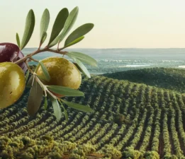 Bir Yaşamın ve Geleceğin Teminatı