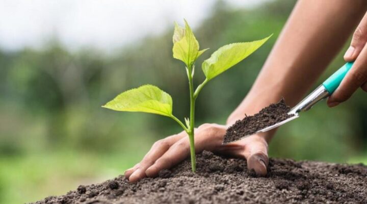 “Fidan Dik, Geleceğe Nefes Ol”
