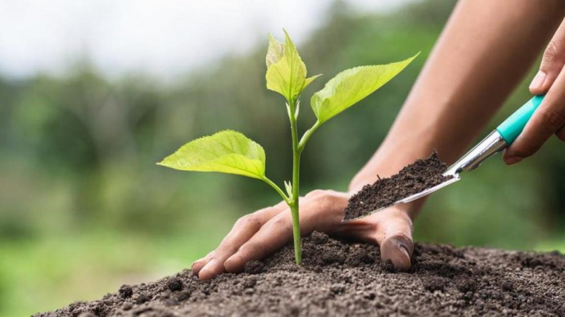 “Fidan Dik, Geleceğe Nefes Ol”