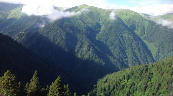 Burnumuzun Dibi Altın Kaynıyor Bizde Kuruş Yok!