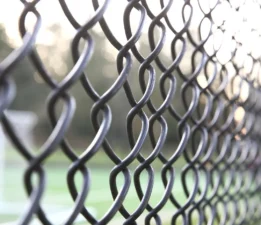 Kestel’de Piknik Alanı Kapalı: Vatandaşlar Tepkili, Sokak Hayvanları Mağdur