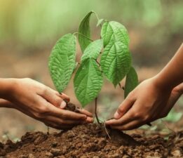 “Geleceğe Nefes, Dünyaya Umut”
