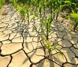 “Köylünün Alın Terini Görmezden Gelenler Bu Toprağın Gerçeğinden Kopuktur”