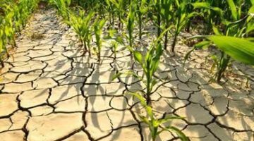 “Köylünün Alın Terini Görmezden Gelenler Bu Toprağın Gerçeğinden Kopuktur”