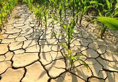 “Köylünün Alın Terini Görmezden Gelenler Bu Toprağın Gerçeğinden Kopuktur”