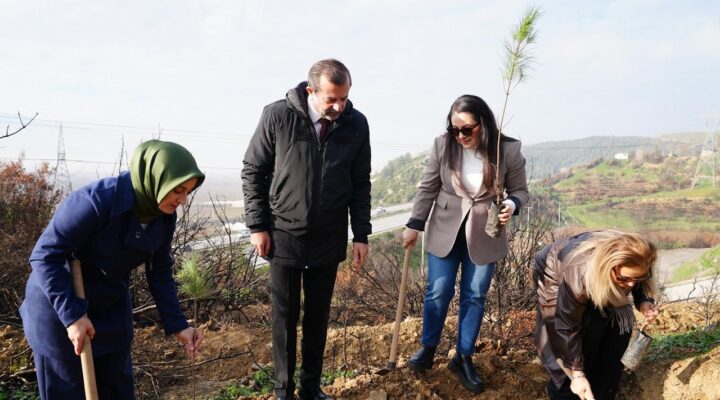 Gürsu Karahıdır Köyü’nde Orman Yangınları Sonrası Fidan Dikim Etkinliği Düzenlendi