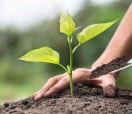 Öğrencilerden Yeşil Vatan’a Anlamlı Katkı