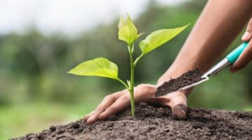 Öğrencilerden Yeşil Vatan’a Anlamlı Katkı