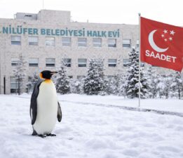 Penguen Metaforu Yerel Siyasete Taşındı