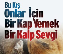 Büyükşehir Kent Konseyi Hayvan Hakları Grubu’ndan Anlamlı Dayanışma