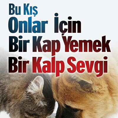 Büyükşehir Kent Konseyi Hayvan Hakları Grubu’ndan Anlamlı Dayanışma