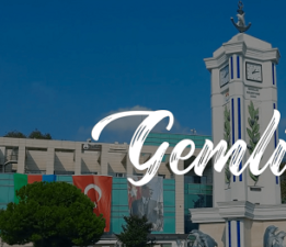 Devlet Nerede! Gemlik’te Neler Oluyor!