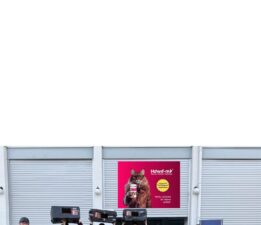 Üniversiteli Gençler ile HAWE-Mİ’nin Sokak Hayvanlarına Sıcak Dokunuşu