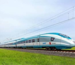 Hız Kaplumbağa, Parası Kumbara!