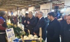 Gemlik’te Yükselen Tansiyon!