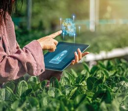 Dağ Yöresine “Tarım İstasyonları” Projesi Yakışır!