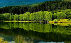 Keles’te Gölet Projesi Tartışması Büyüyor: “Sulama mı, Sanayi Baskısı mı?”