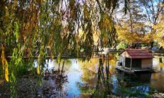 Harmancık’a Yatırım ve Kalkınma Vurgusu