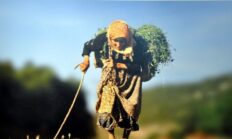 Sosyal Demokrat Kadın Mücadelesi Osmangazi’de Güçleniyor