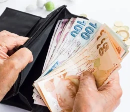 Emekli Maaşımızı Geçinemeyen Vekillere Bağışlayalım!