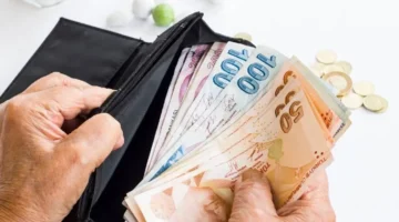 Emekli Maaşımızı Geçinemeyen Vekillere Bağışlayalım!