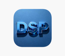 DSP Bursa İl Başkanı Mehmet Seskır’dan “Ecevit Vizyonu” Vurgusu