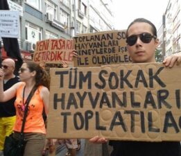 “Hayvansevere Ceza, Katliama Sessizlik!”