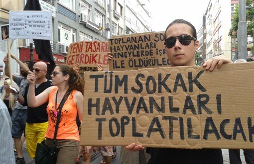 “Hayvansevere Ceza, Katliama Sessizlik!”