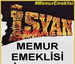 “Memur Emeklisi İsyanda: ‘Hakkımız Olan Maaşın Yarısını Alıyoruz!’”