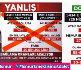 Memur Emeklisine Neden Seyyanen Zam Yok!