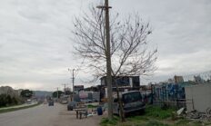 “Topu Hurdacılara Atma, Yetkililer Görevini Yapmıyor”