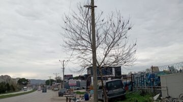 “Topu Hurdacılara Atma, Yetkililer Görevini Yapmıyor”