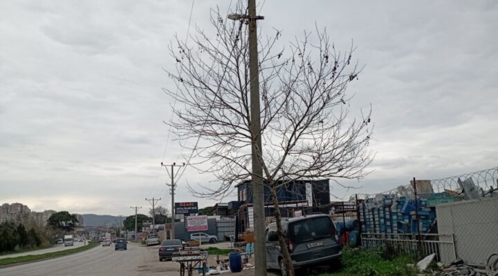 “Topu Hurdacılara Atma, Yetkililer Görevini Yapmıyor”