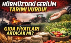 Hürmüz Krizi Gübreyi Vurdu: Türkiye’de Gıda Riski Kapıda