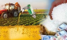 Bursa’da Tarım Can Çekişiyor!