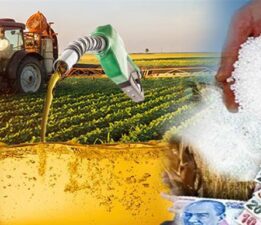 Bursa’da Tarım Can Çekişiyor!