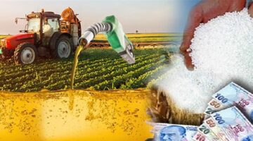 Bursa’da Tarım Can Çekişiyor!