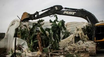 Milyonlar Görmezden Geliniyor