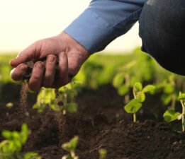 “Toprağımıza Küsersek, Aç Kalırız”