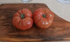 Sebze Meyve Altına Rahmet Okutuyor!