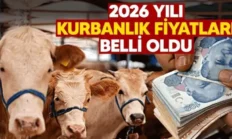 Kurbanlıklar Sadece Cüzdanı Değil Vicdanları da Yakıyor!