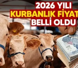 Kurbanlıklar Sadece Cüzdanı Değil Vicdanları da Yakıyor!