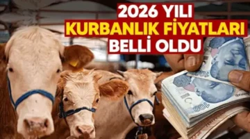 Kurbanlıklar Sadece Cüzdanı Değil Vicdanları da Yakıyor!