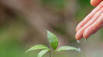 TEMA’dan Anlamlı Anı…