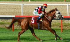 Bursa’da Anlamlı Koşu: Mustafa Kavçın Koşusu’nu Cebeltuna Kazandı