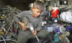 Gelecek Meslekteyse, Geçmişin Emeği Güvencede Olmalı!