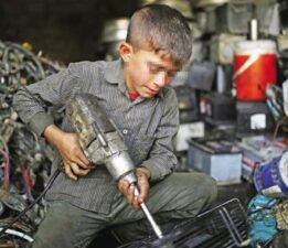 Gelecek Meslekteyse, Geçmişin Emeği Güvencede Olmalı!