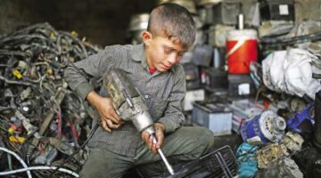 Gelecek Meslekteyse, Geçmişin Emeği Güvencede Olmalı!