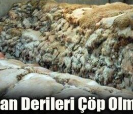 Kurban Derileri Neden Değerlendirilemiyor?